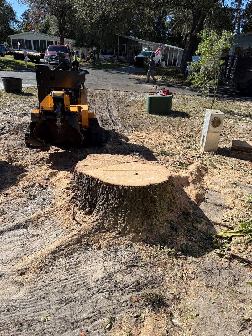 Stump grinding work in progress