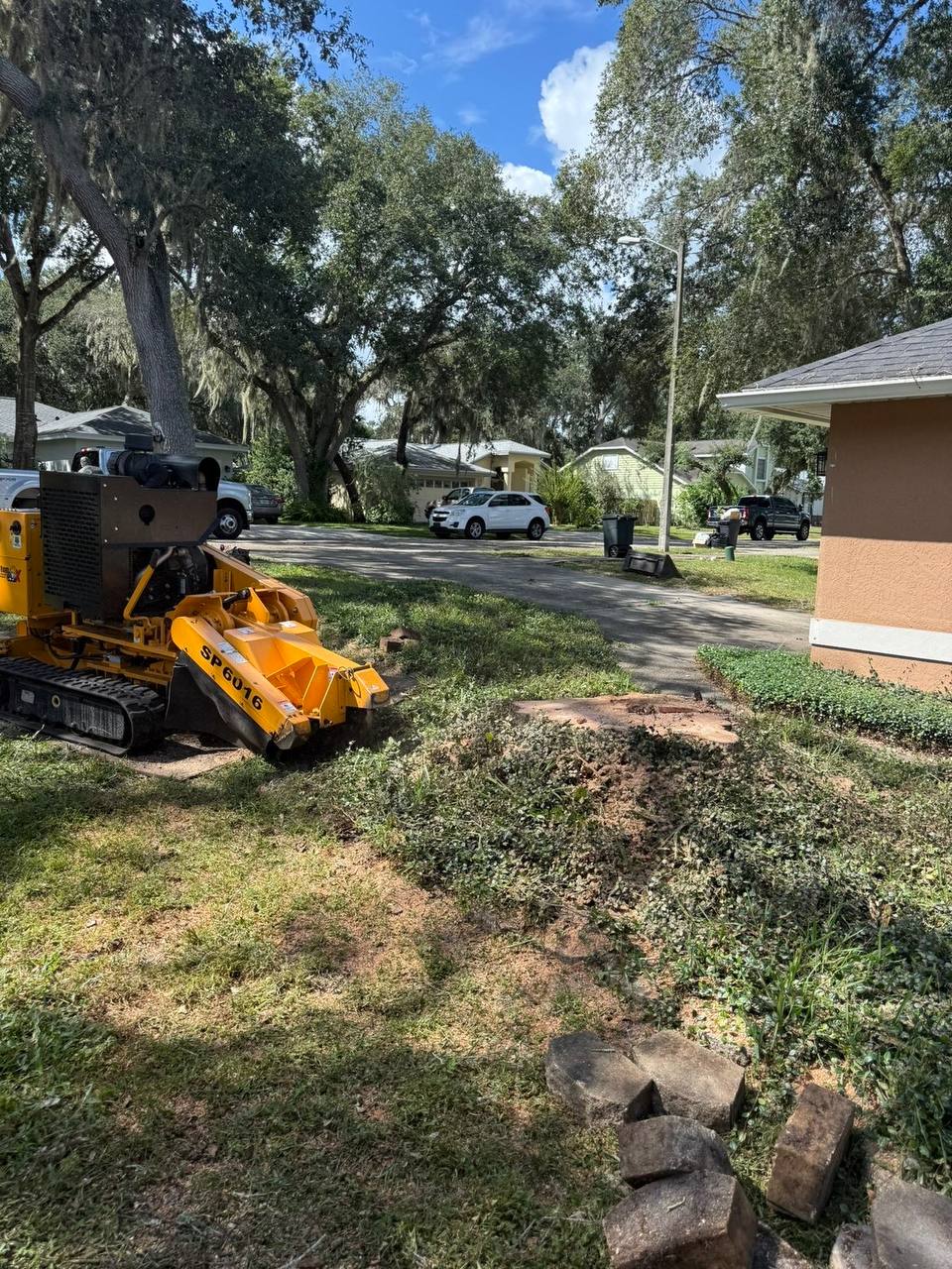 Land clearing service