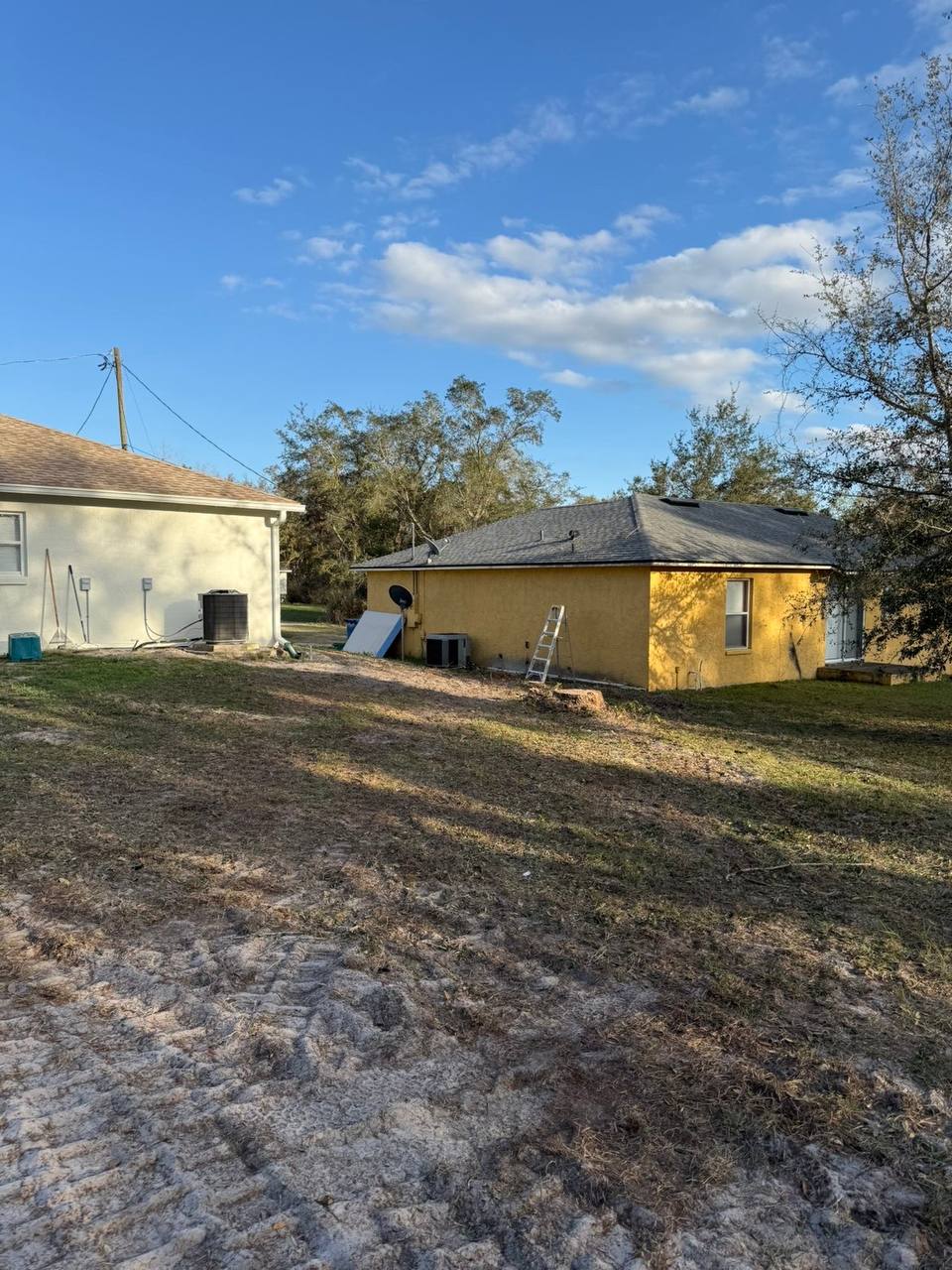 Professional tree services