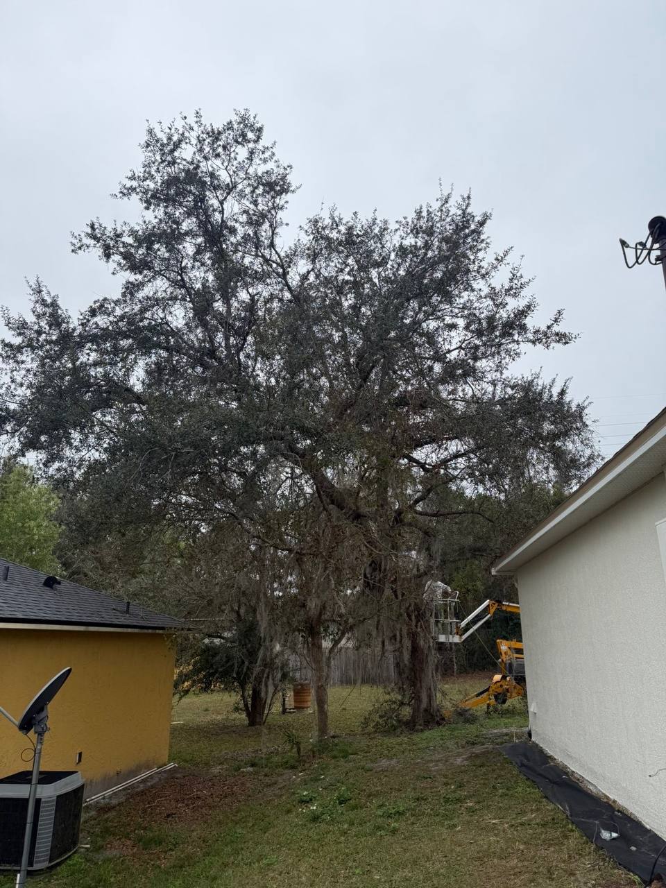 Stump grinding equipment