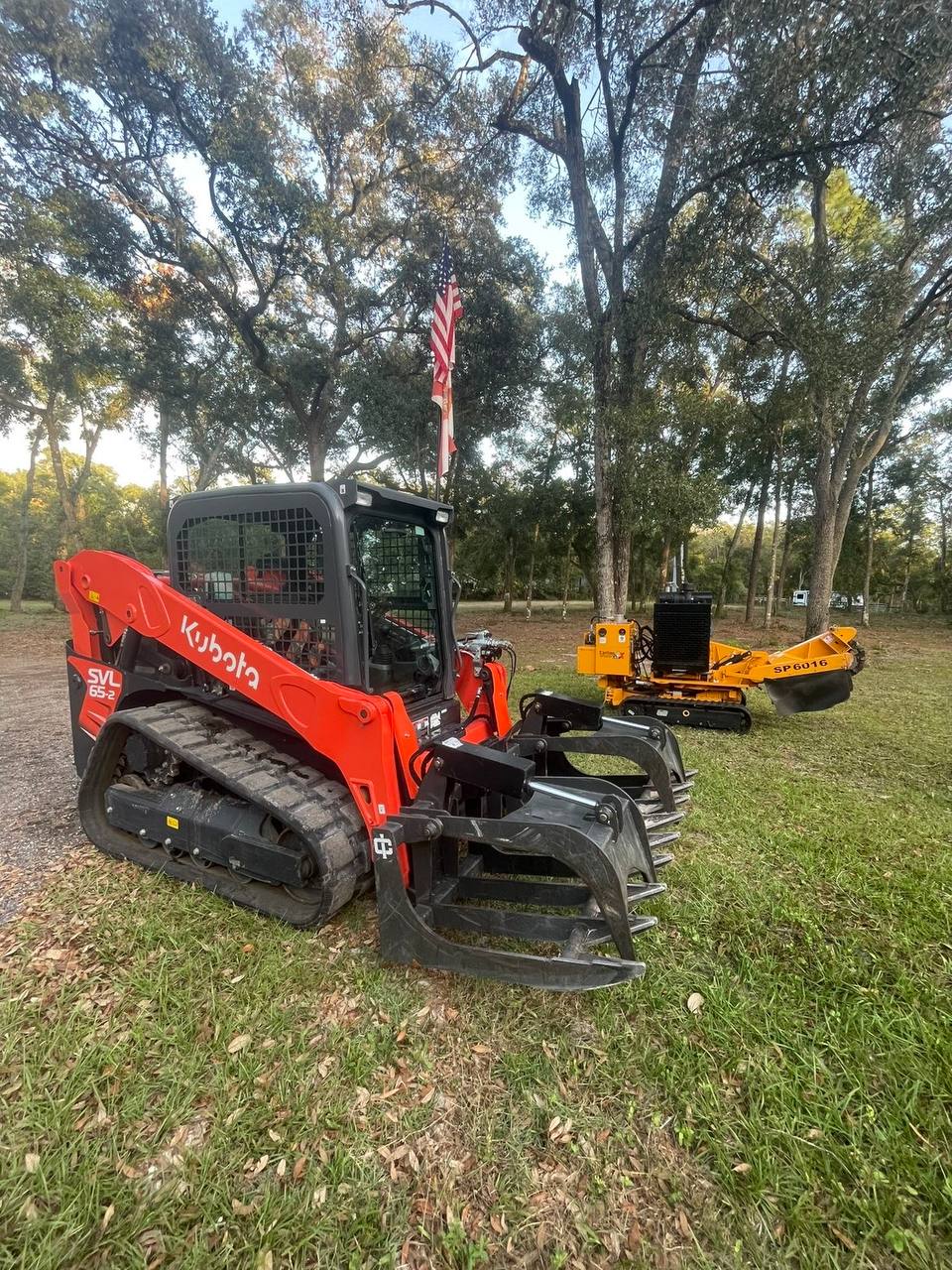 Tree removal service