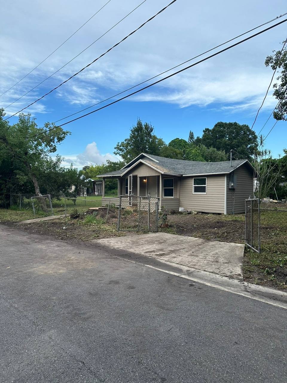 Professional tree and stump work